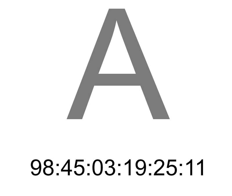 stanza open source DNA. Image above from 2011. Note the 98 shows it has moved on six years from the installation view that is we are now six years in to the 104 long project. 