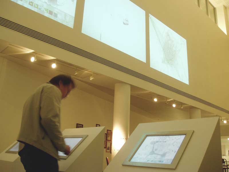 Stanza data art  with dna, performance