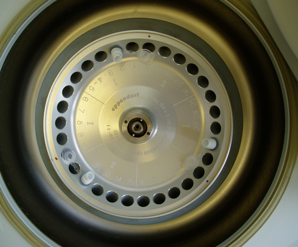 Steve Tanza, Stanza, DNA art project