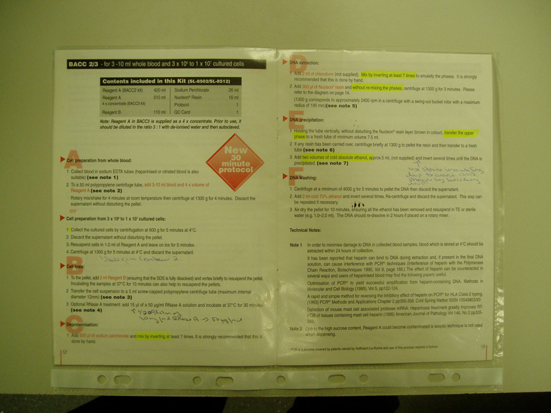 Stanza DNA 2003 used for art experiment.