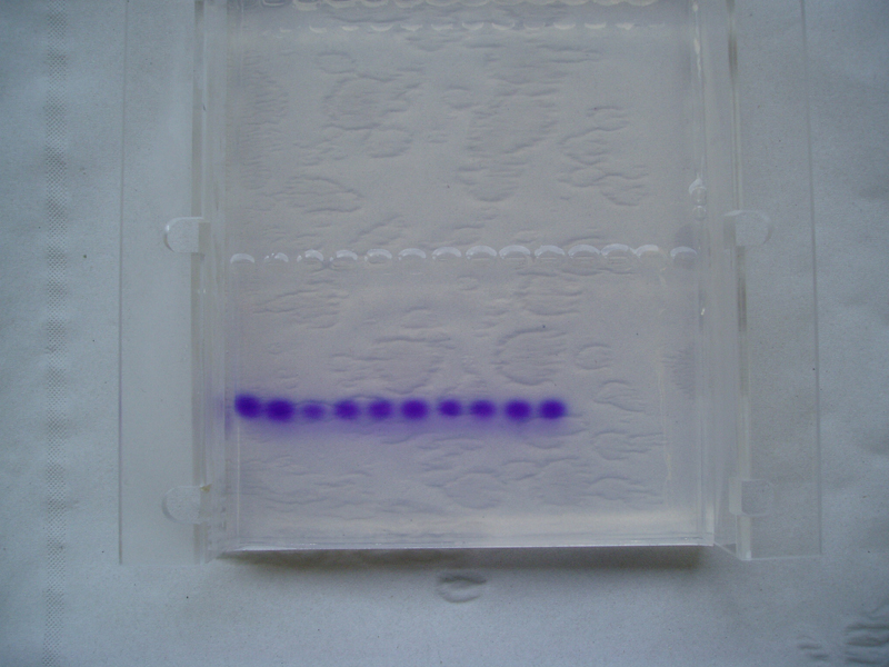 Stanza Artwork Chromosome 